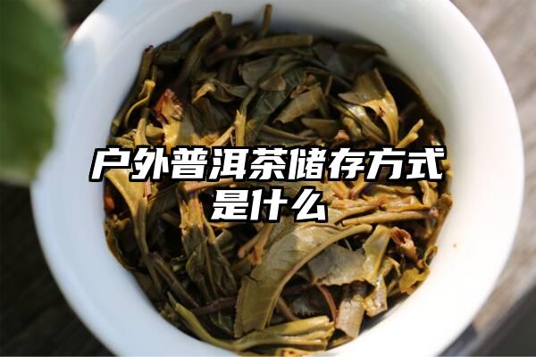 户外普洱茶储存方式是什么