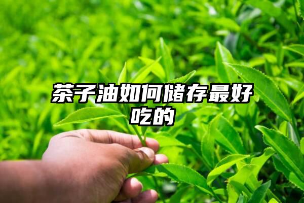 茶子油如何储存最好吃的