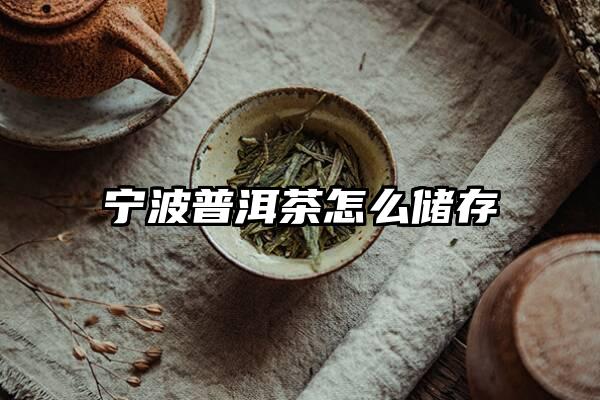 宁波普洱茶怎么储存