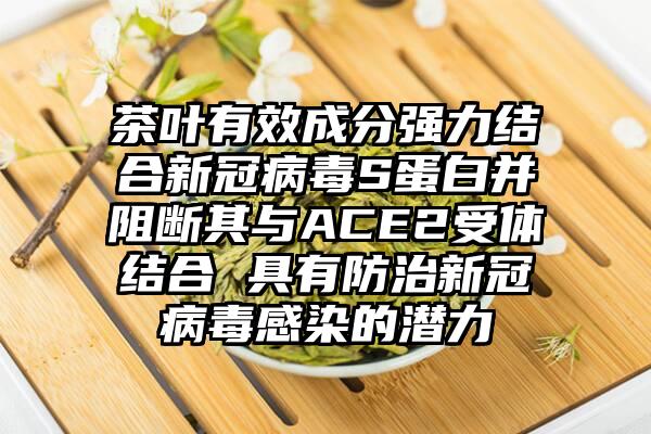 茶叶有效成分强力结合新冠病毒S蛋白并阻断其与ACE2受体结合 具有防治新冠病毒感染的潜力