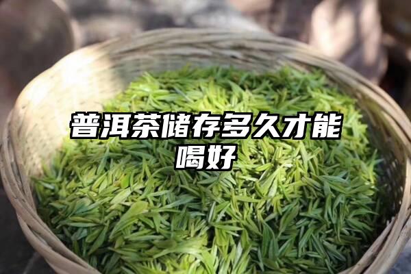 普洱茶储存多久才能喝好