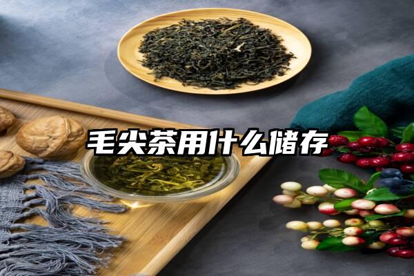 毛尖茶用什么储存