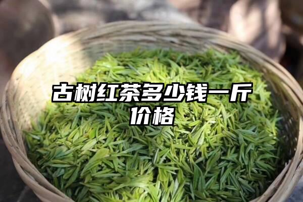 古树红茶多少钱一斤价格