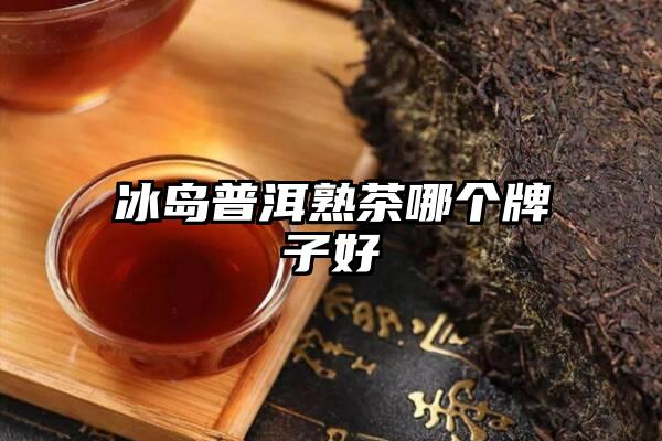 冰岛普洱熟茶哪个牌子好