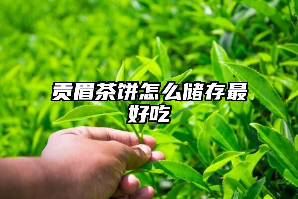 贡眉茶饼怎么储存最好吃