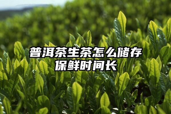 普洱茶生茶怎么储存保鲜时间长