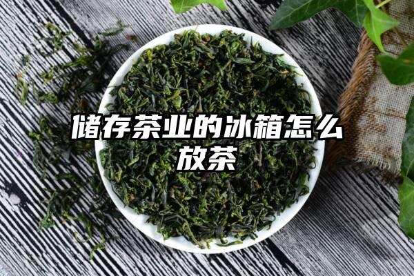 储存茶业的冰箱怎么放茶