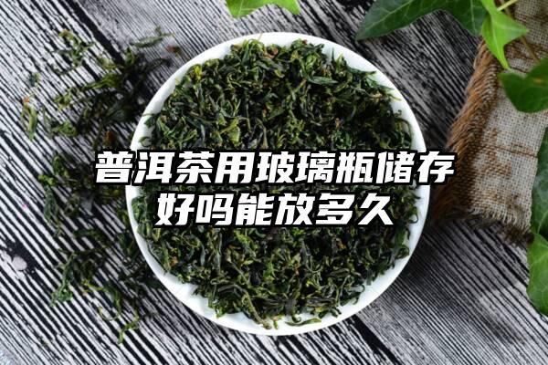 普洱茶用玻璃瓶储存好吗能放多久