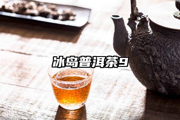 冰岛普洱茶9