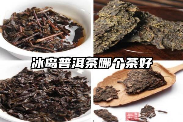 冰岛普洱茶哪个茶好