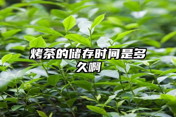 烤茶的储存时间是多久啊