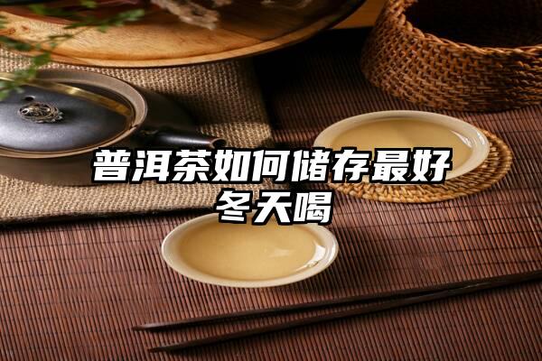 普洱茶如何储存最好冬天喝