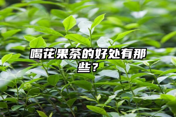 喝花果茶的好处有那些？