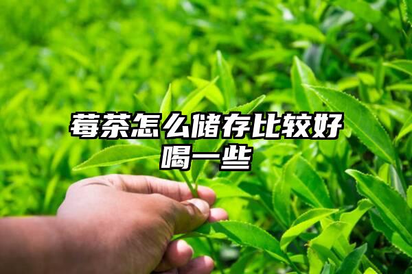 莓茶怎么储存比较好喝一些