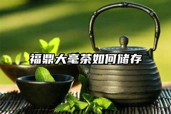 福鼎大毫茶如何储存