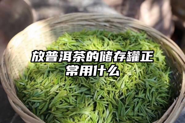 放普洱茶的储存罐正常用什么