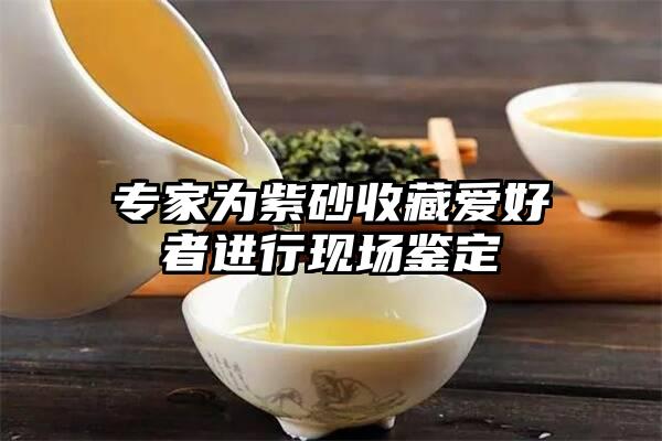 专家为紫砂收藏爱好者进行现场鉴定