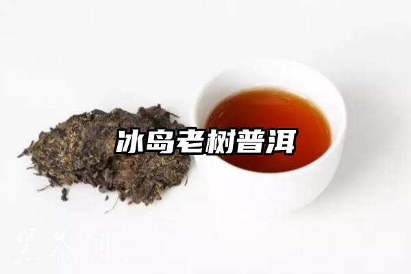 冰岛老树普洱