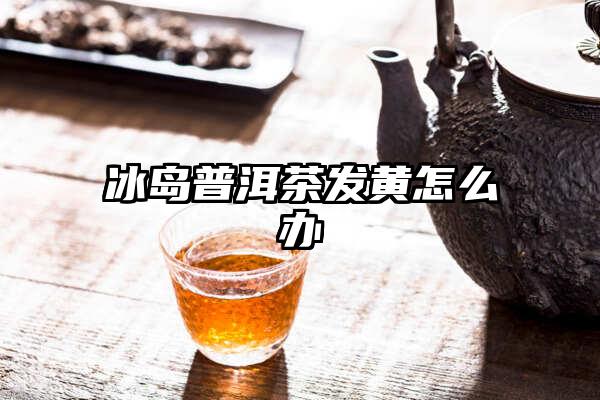 冰岛普洱茶发黄怎么办