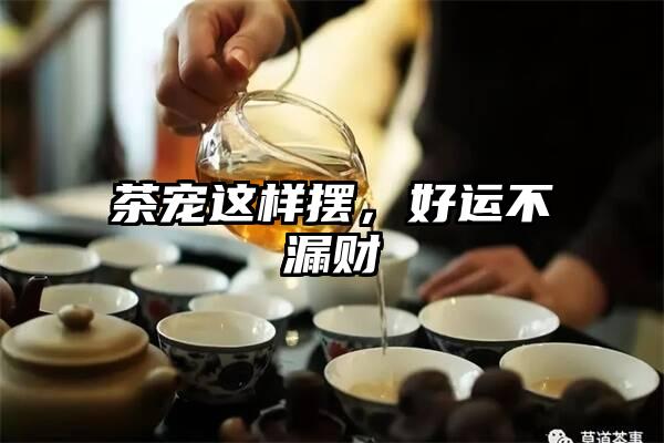 茶宠这样摆，好运不漏财