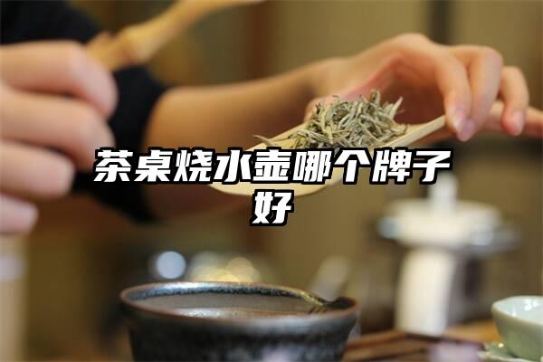 茶桌烧水壶哪个牌子好