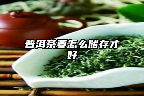 普洱茶要怎么储存才好