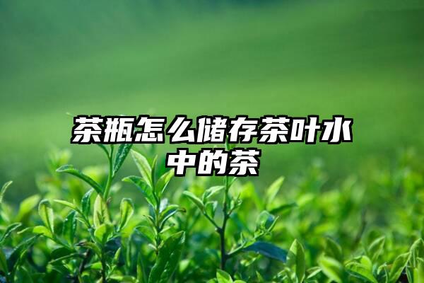 茶瓶怎么储存茶叶水中的茶