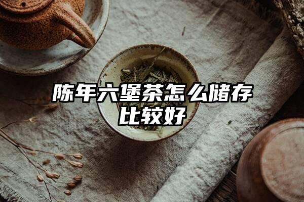 陈年六堡茶怎么储存比较好