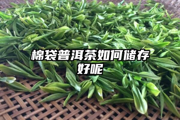 棉袋普洱茶如何储存好呢