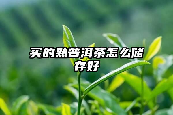 买的熟普洱茶怎么储存好