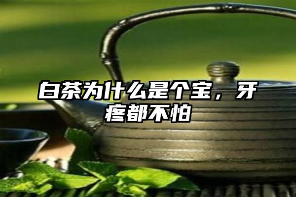 白茶为什么是个宝，牙疼都不怕