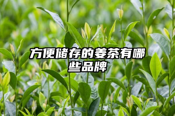 方便储存的姜茶有哪些品牌