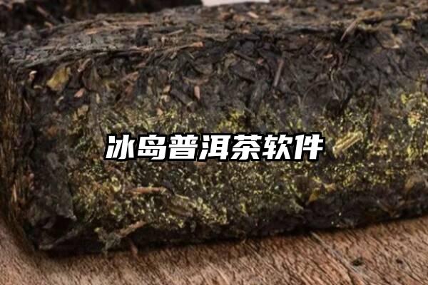 冰岛普洱茶软件