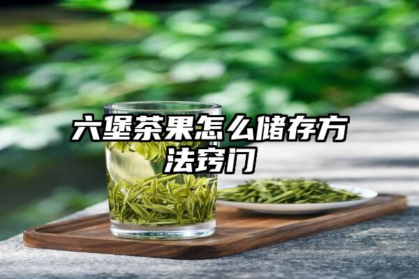 六堡茶果怎么储存方法窍门