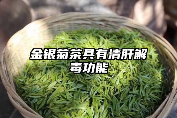 金银菊茶具有清肝解毒功能