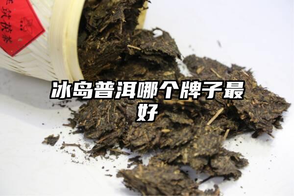 冰岛普洱哪个牌子最好