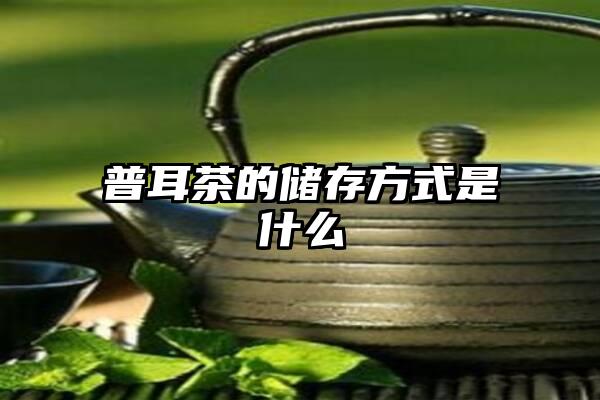 普耳茶的储存方式是什么