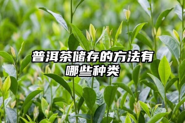 普洱茶储存的方法有哪些种类