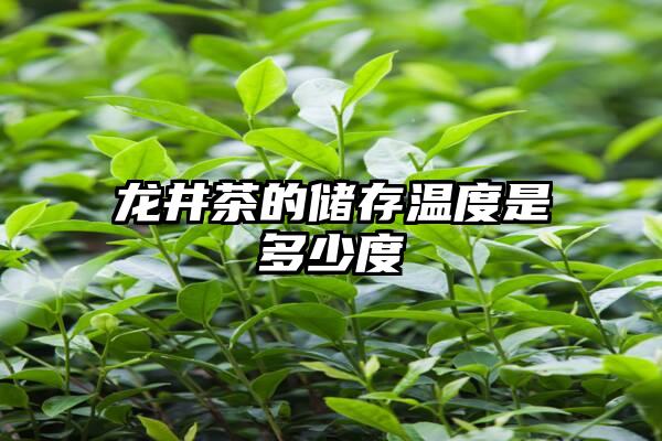 龙井茶的储存温度是多少度