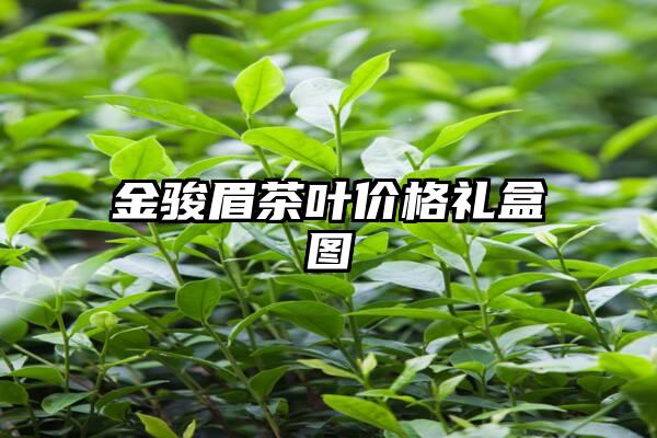 金骏眉茶叶价格礼盒图