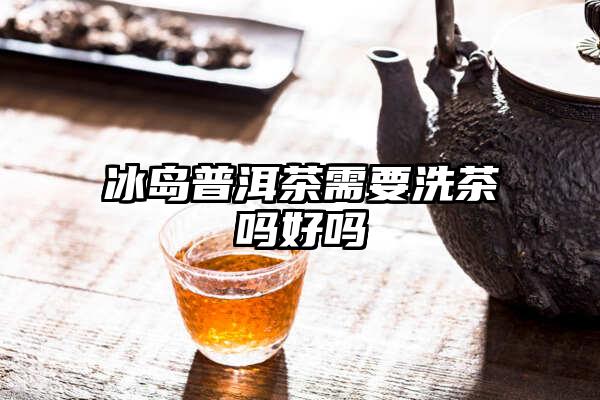 冰岛普洱茶需要洗茶吗好吗