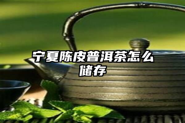 宁夏陈皮普洱茶怎么储存