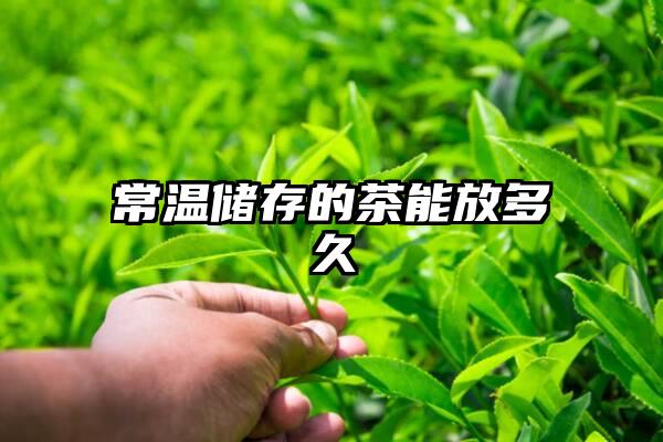 常温储存的茶能放多久