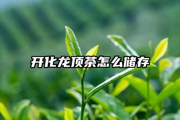 开化龙顶茶怎么储存