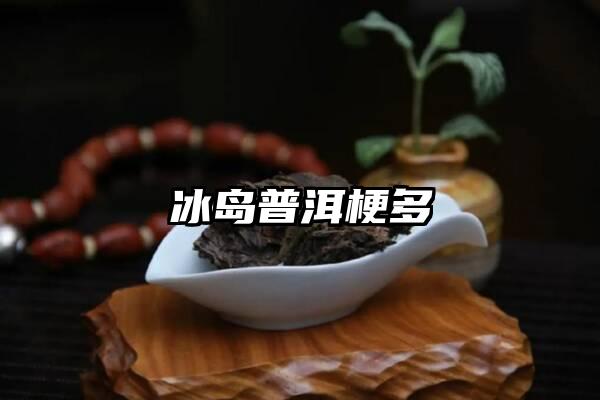 冰岛普洱梗多