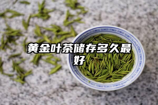 黄金叶茶储存多久最好