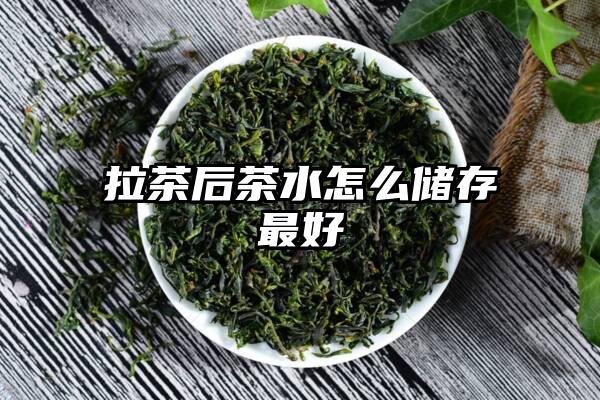 拉茶后茶水怎么储存最好