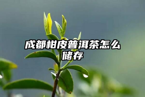 成都柑皮普洱茶怎么储存