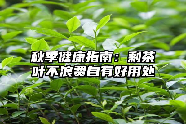 秋季健康指南：剩茶叶不浪费自有好用处