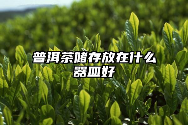 普洱茶储存放在什么器皿好